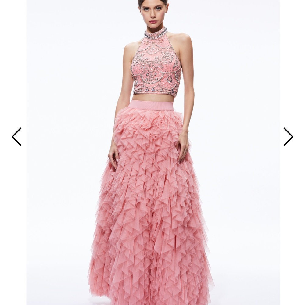 Alice + Olivia Set (skirt and top)